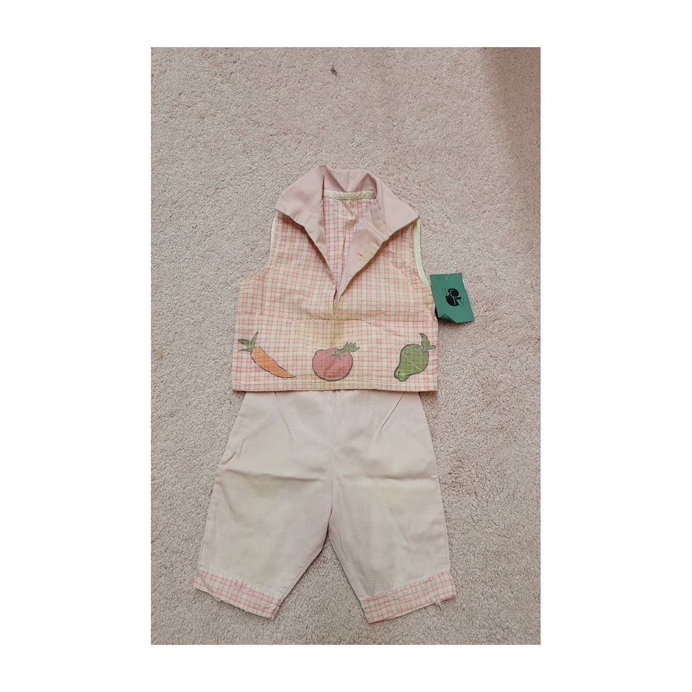 2T vintage plaid veggie print toddler set